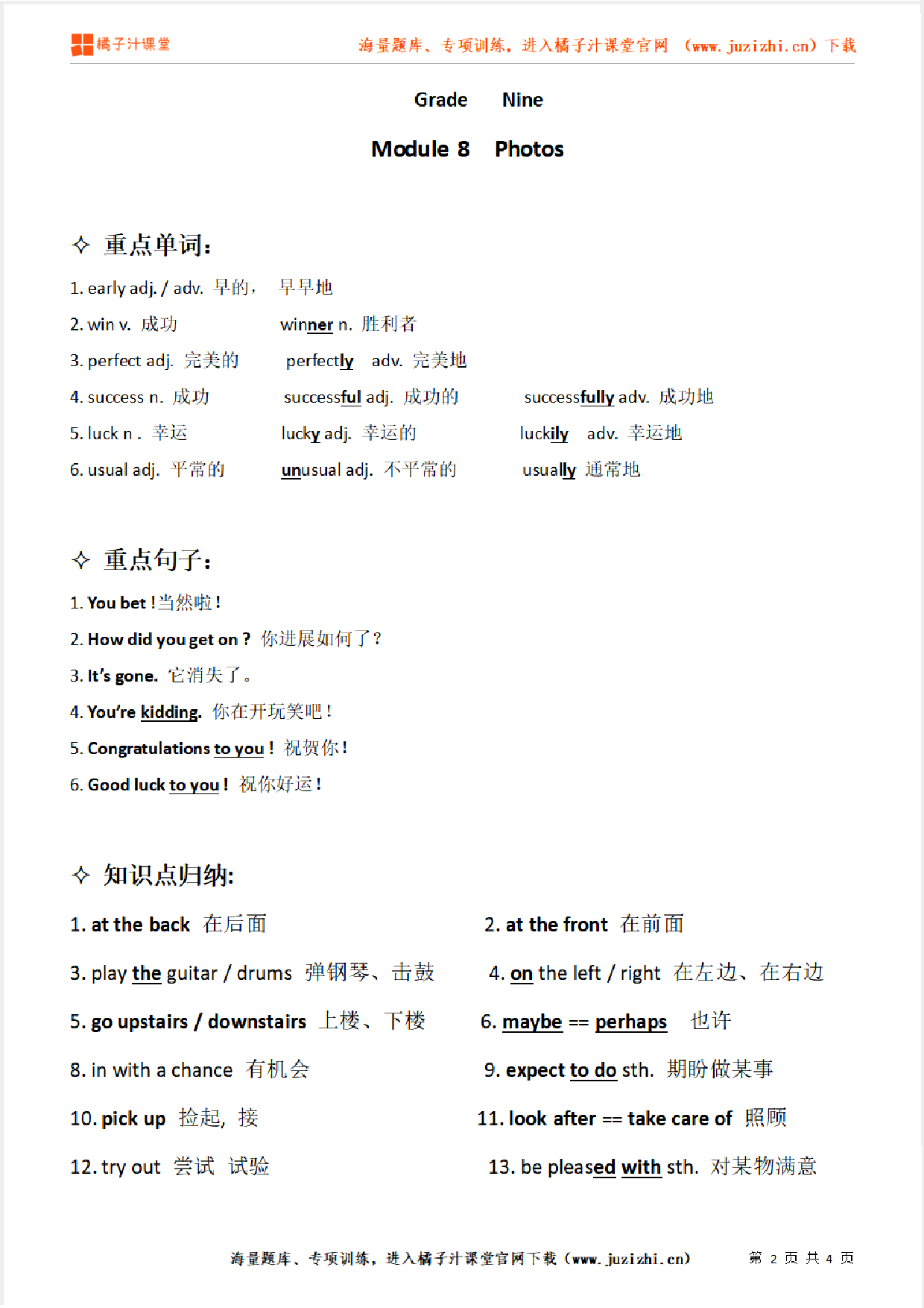 外研版初中英语九年级上册  Module 8   知识点