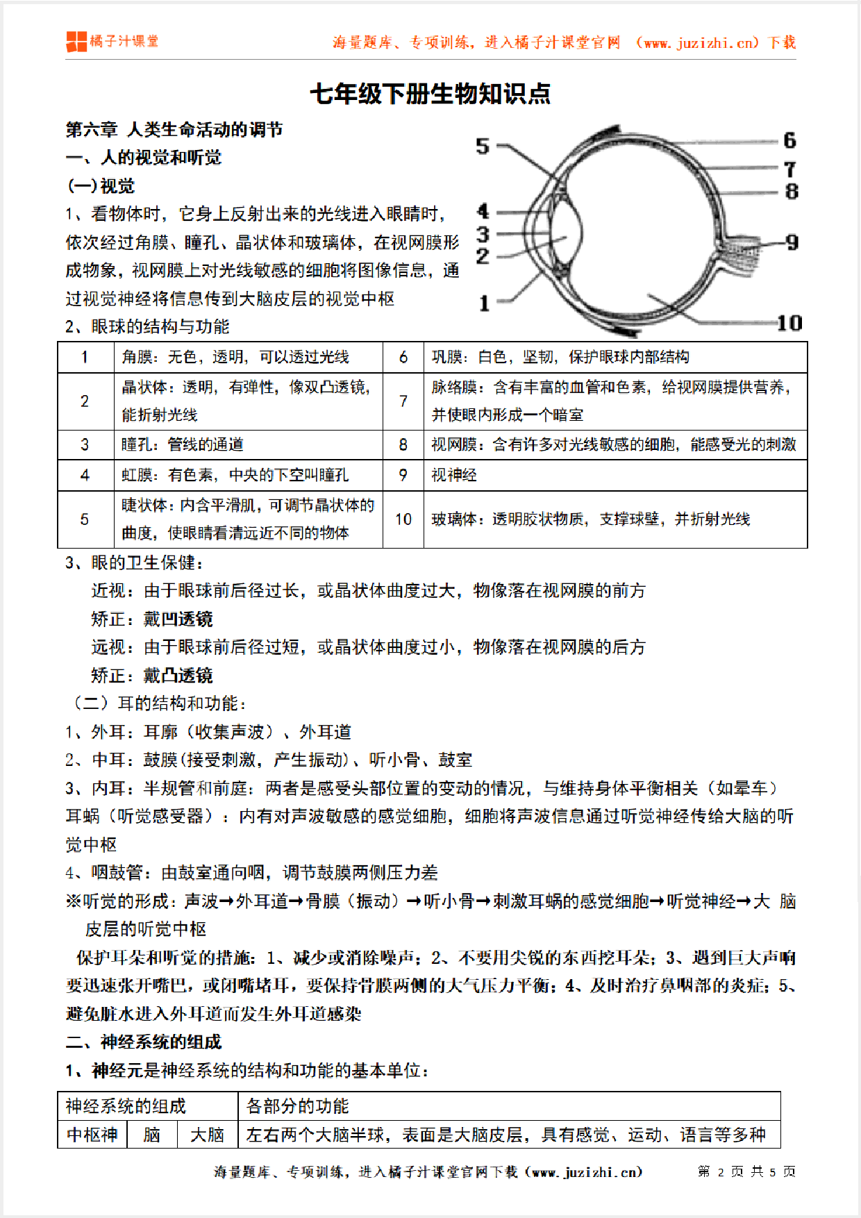 七年级下册初中生物《第六章 人类生命活动的调节》单元知识点