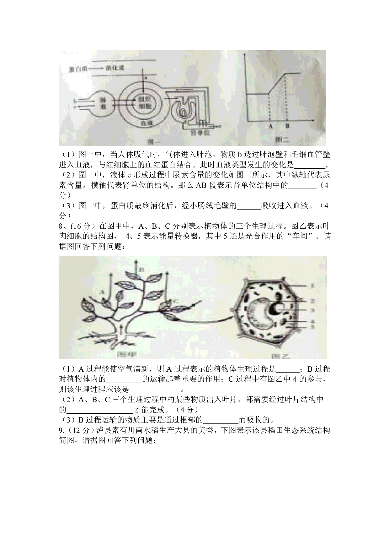 2016年四川省泸州市中考生物试题