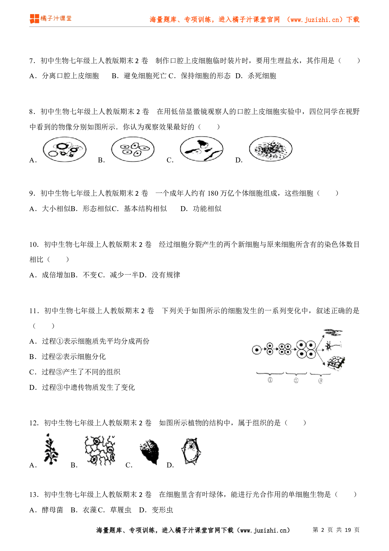 生物七年级上册期末测试卷 (3)