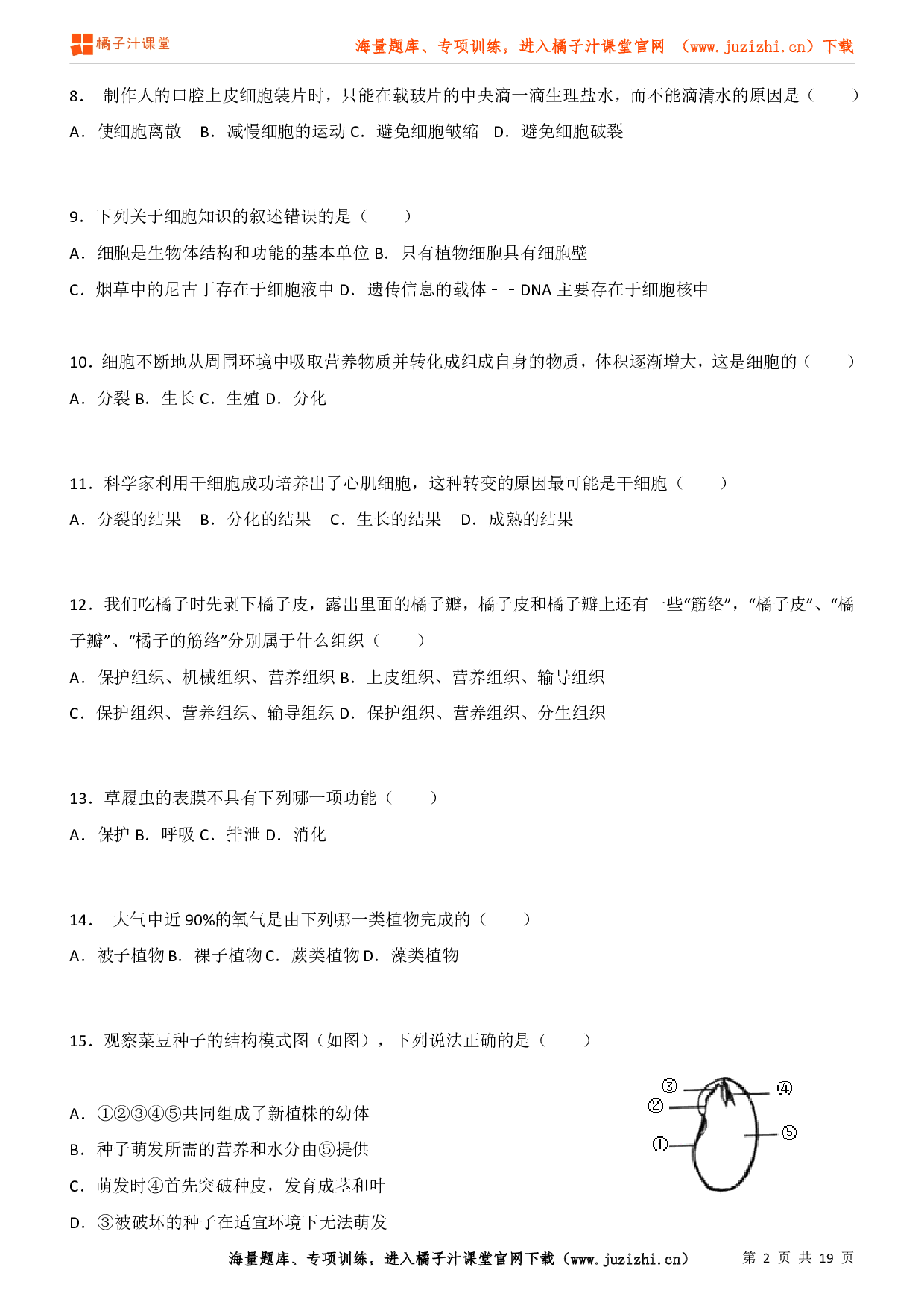 生物七年级上册期末测试卷 (4)