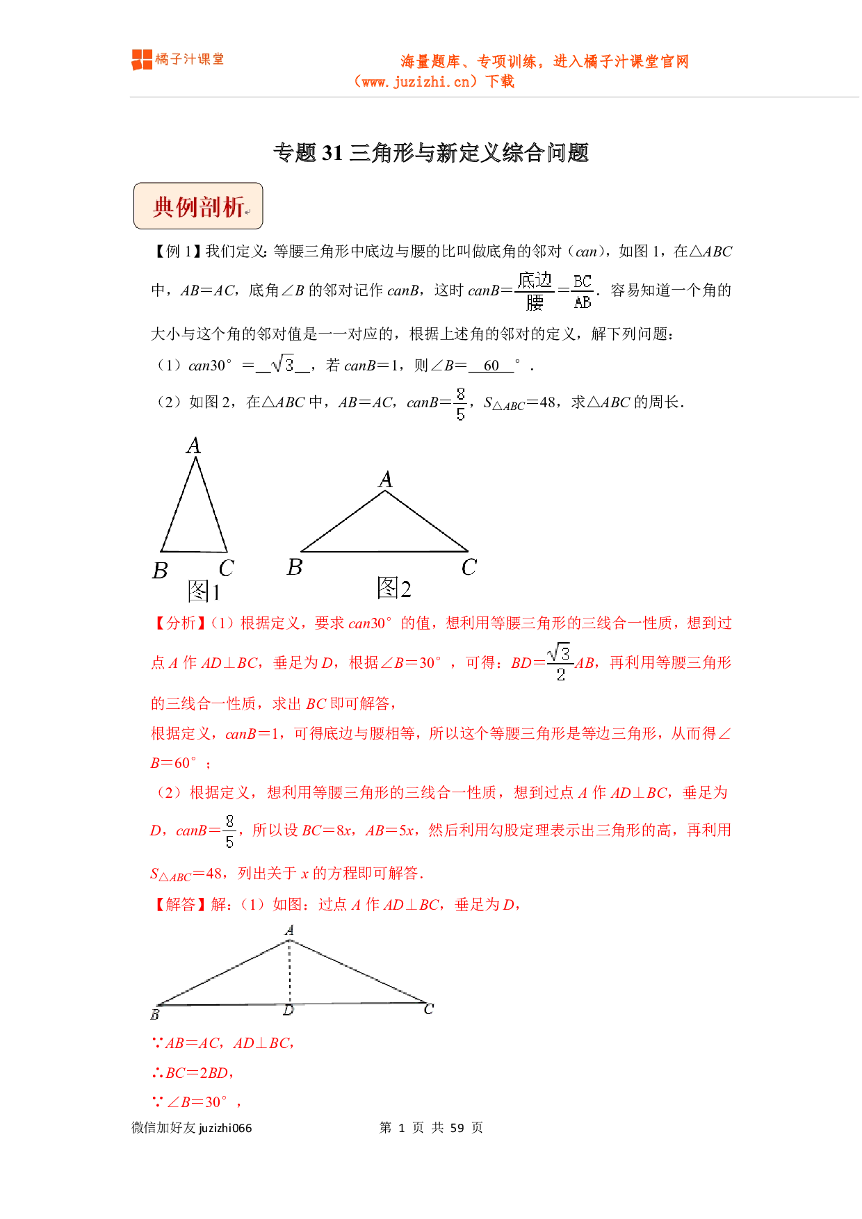 【中考数学】专题31三角形与新定义综合问题